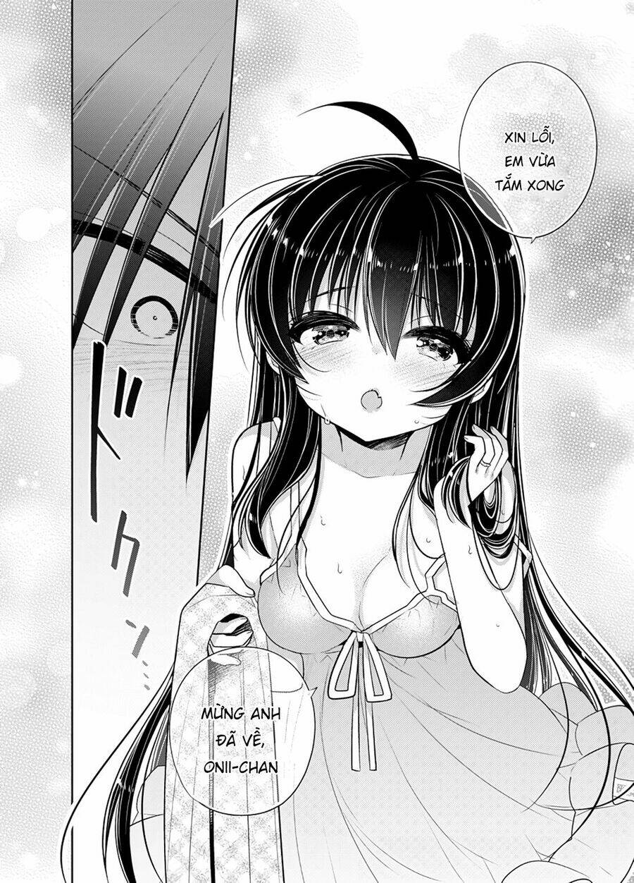 Siscon Ani To Brocon Imouto Ga Shoujiki Ni Nattara Chapter 49 - Trang 2