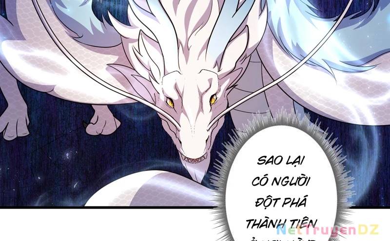 đồ đệ của ta đều là đại yêu vô địch Chapter 25 - Trang 1